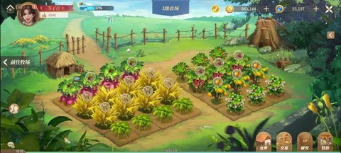 新庄园时代[图1]