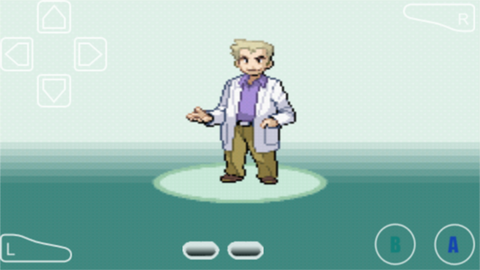 口袋妖怪：叶绿图2