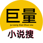 巨量小说搜