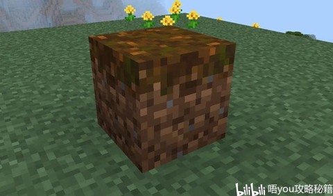 我的世界怎么种植蘑菇[图2]