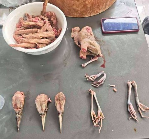 剑网3果子狸怎么抓[图1]