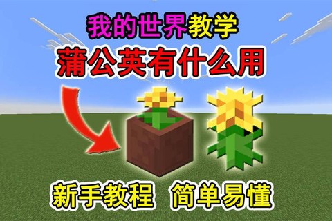 我的世界蒲公英有什么用[图2]