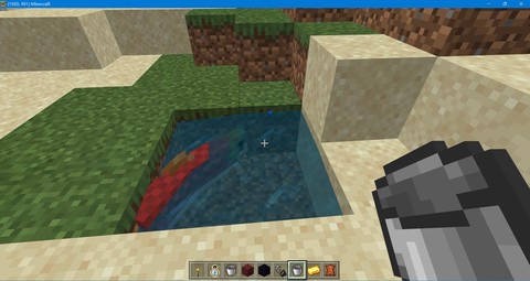 我的世界鱼怎么放在水里[图2]