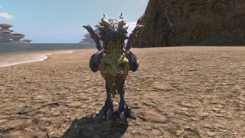 最终幻想14如何转服[图2]