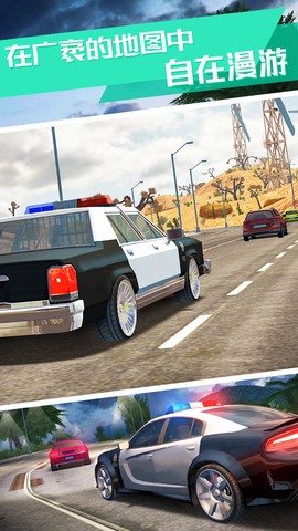 模拟真实警车图3