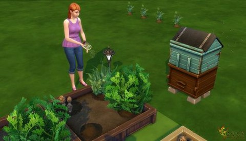 模拟人生4怎么施肥[图1]