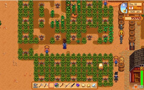 星露谷物语蓝莓怎么种