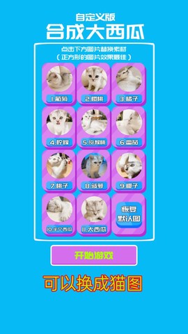 自定义版合成大西瓜图3