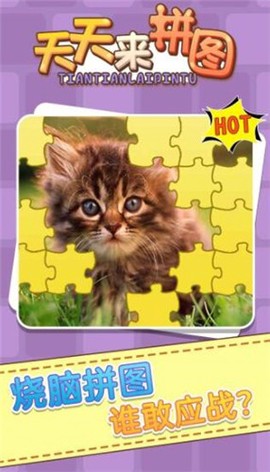 天天来拼图2图2