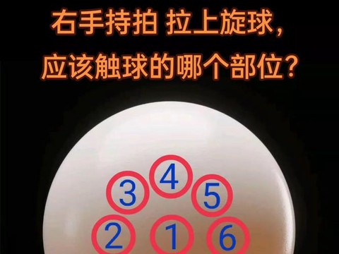 球球大作战定位怎么弄[图1]