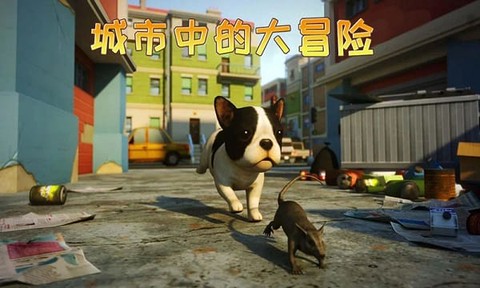 小猫历险记[图1]