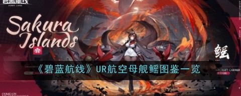 碧蓝航线航空是什么[图2]