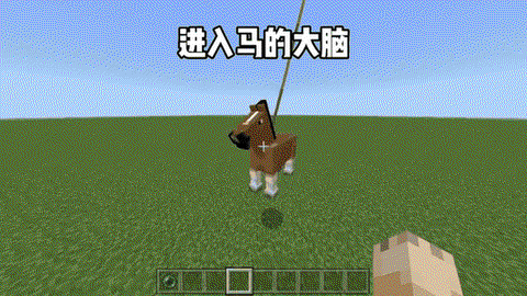 我的世界骑马怎么走