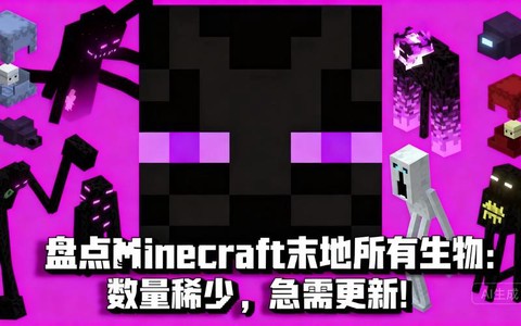 我的世界末地里有什么[图2]