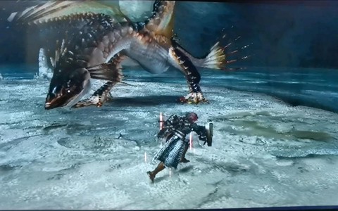 怪物猎人怎么麻痹怪物