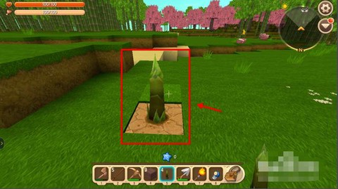 迷你世界怎么种竹子树