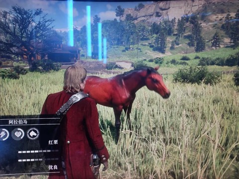 荒野大镖客2什么马号[图1]