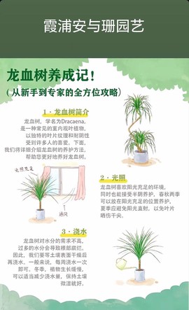 迷你世界龙血树怎么种[图1]