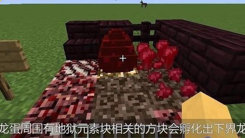 我的世界手游龙蛋怎么孵化