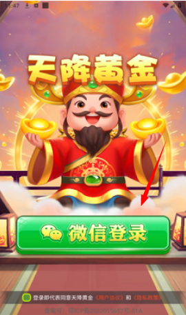 天降黄金图2