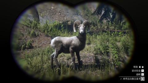 荒野大镖客什么动物最大[图1]