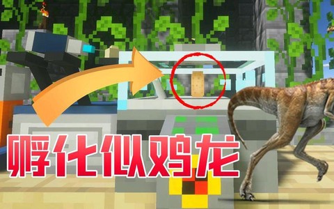 我的世界恐龙怎么孵化