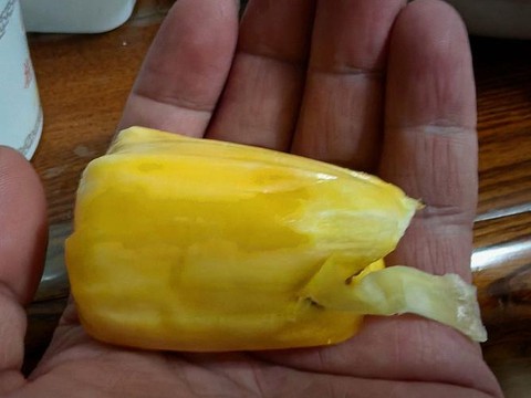 大话西游水果怎么发[图1]