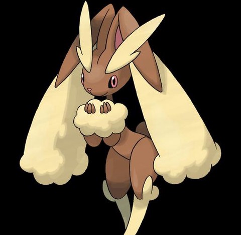 口袋妖怪红线怎么用