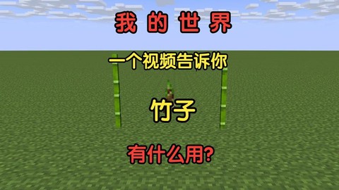 我的世界竹子有什么用[图2]