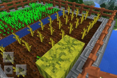 我的世界手机版西瓜怎么种[图2]