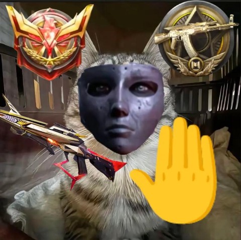 使命召唤怎么更改头像