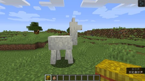 我的世界马吃什么食物