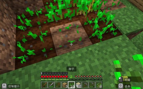 我的世界里怎么种地