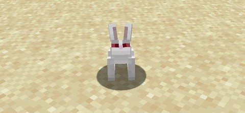 我的世界兔子怎么抓[图1]