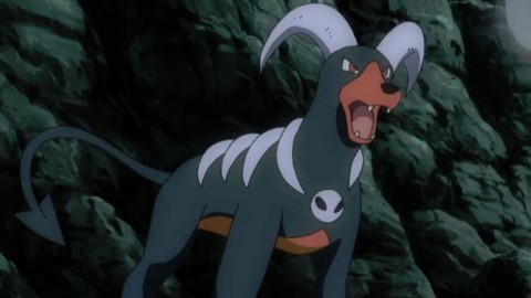 口袋妖怪黑什么特性