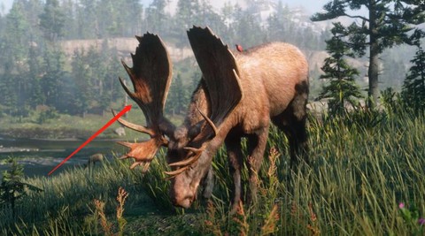 荒野大镖客鹿皮什么掉