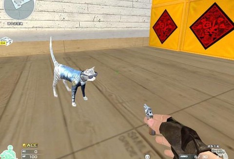 穿越火线cat是什么