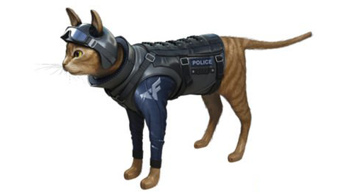 穿越火线cat是什么[图2]