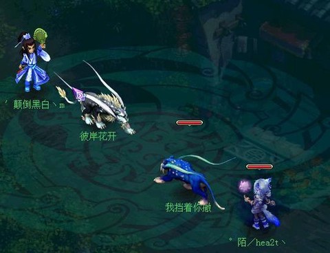 神武龙须豹怎么加点