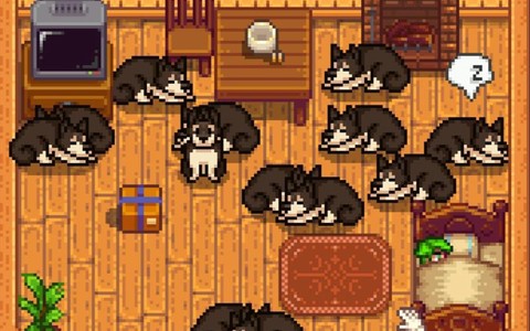 星露谷物语怎么养狗[图1]