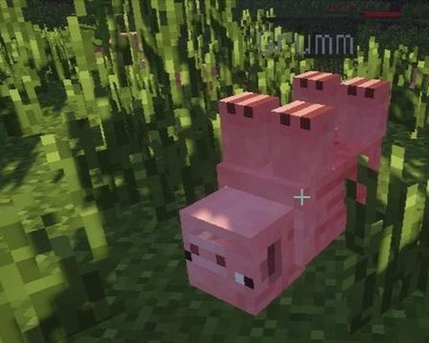 我的世界怎么倒着走[图2]