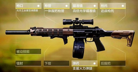 使命召唤怎么看枪身[图1]