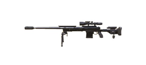 使命召唤怎么看枪身[图2]