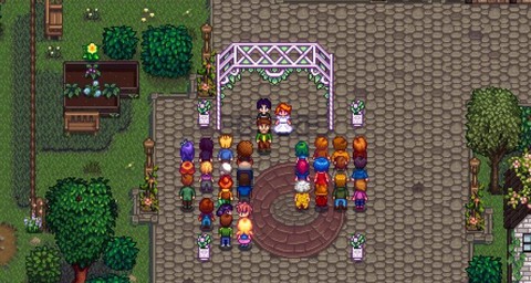 星露谷物语如何结婚