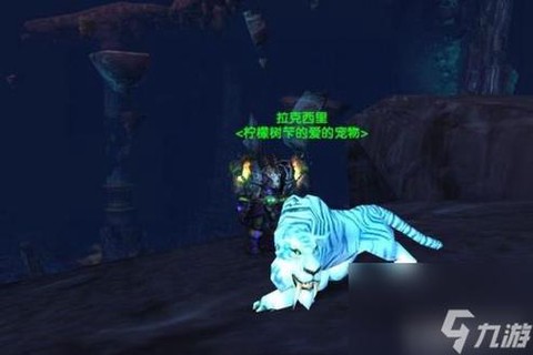 魔兽世界怎么让宠物攻击