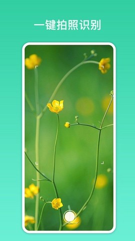 拍照识别君图1