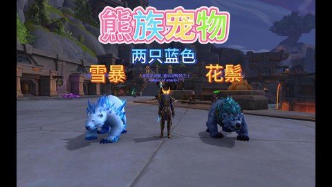 魔兽世界带什么宠物好[图2]