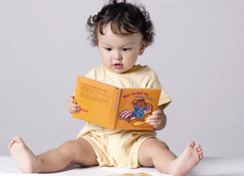 逻辑狗园所端图2