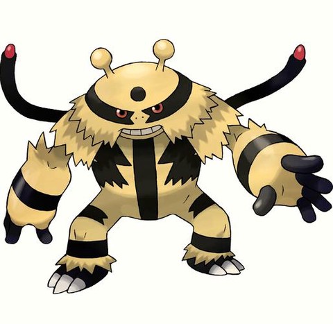 口袋妖怪电击怪怎么进化[图2]