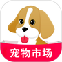 宠物市场